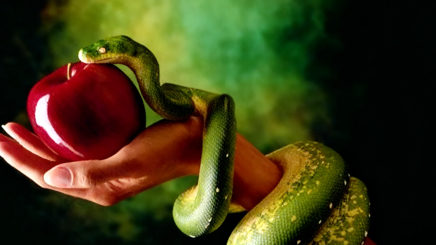 Forbidden Fruit2026-02-15T12:59:53.677Z"