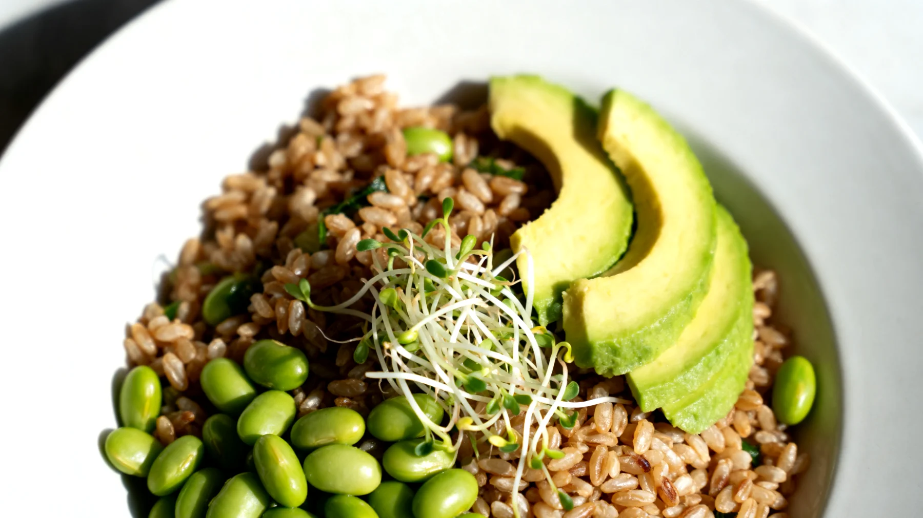Insalata di farro con edamame, avocado e germogli di alfa-alfa"